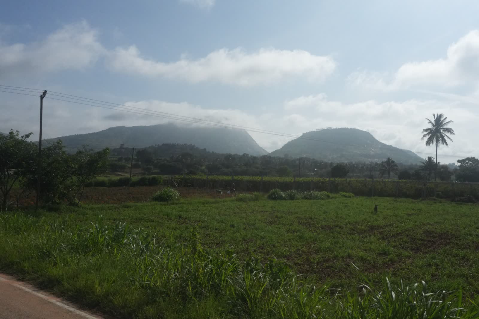 Nandi Hills ridge under moving cloud, seen across a grape vineyard and open farmland in the morning